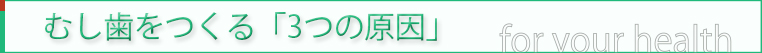 むし歯を作る「３つの原因」