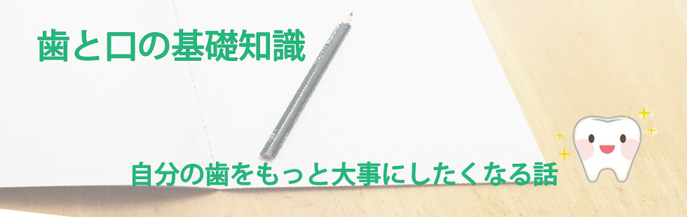 歯と口の基礎知識