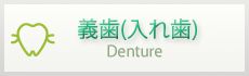 義歯（入れ歯）