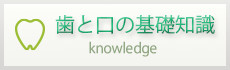 歯と口の基礎知識