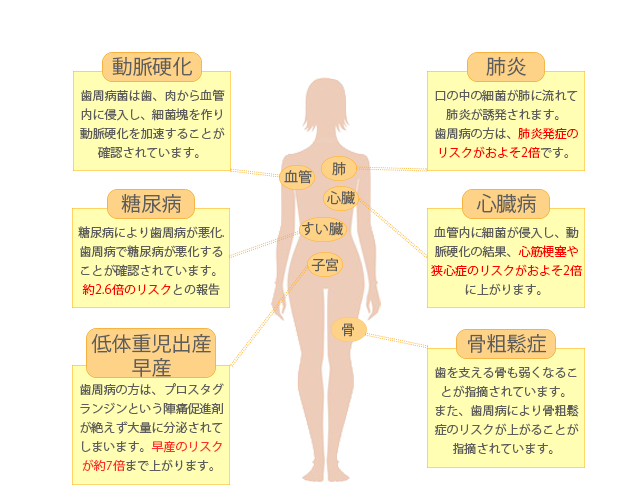 全身への影響